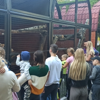 "Городской зоопарк" нашим деткам всегда рад!